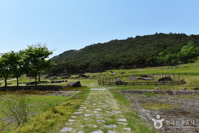 Gochang Dolmen Site [UNESCO World Heritage] (고창 고인돌 유적 [유네스코 세계문화유산])