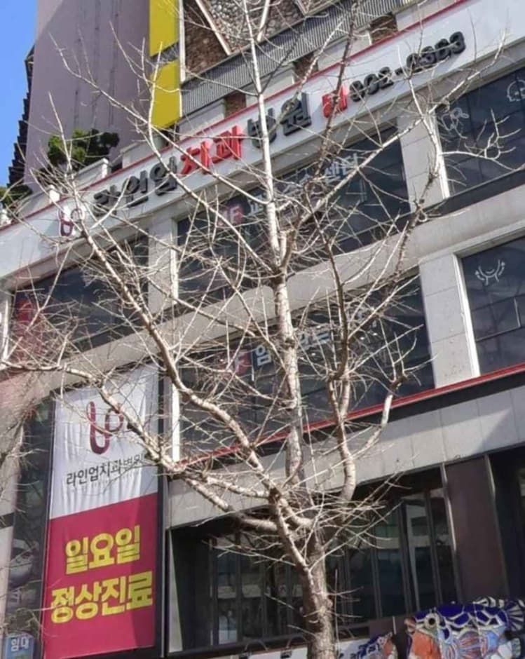 Line-up Dental Hospital [Tax Refund Shop] (라인업치과병원)