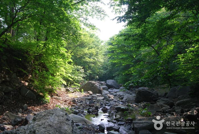성주계곡_03