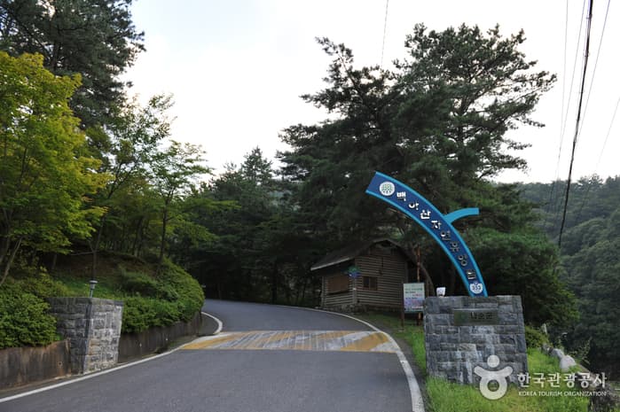 백아산자연휴양림
