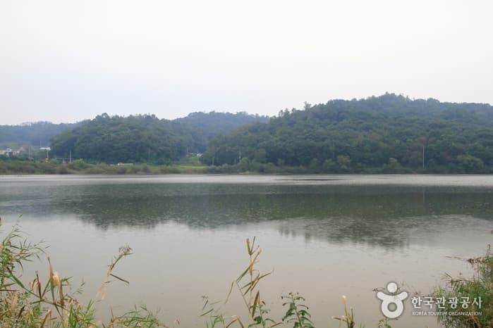 Baekhak Reservoir (백학저수지)