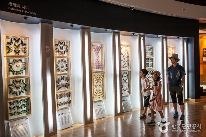 전북_무주_반딧불이 있는 청정 무주 생태여행09