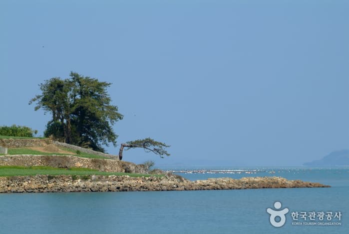 신흥리 해수욕장_08