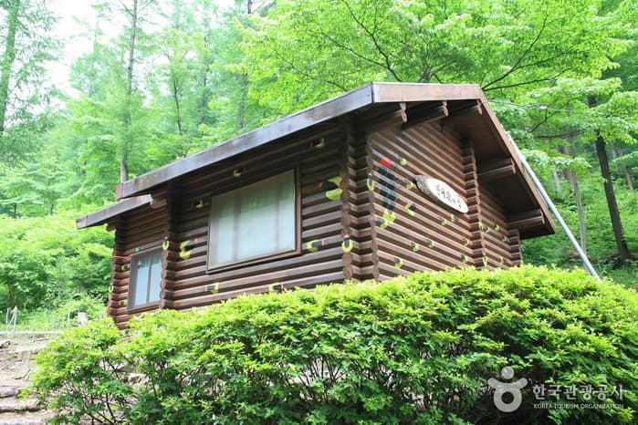 덕유산자연휴양림_07