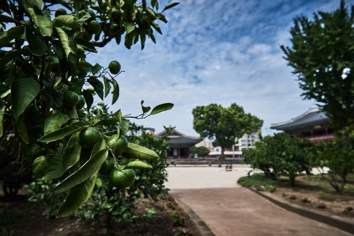 한국문화정보원_제주목관아_098