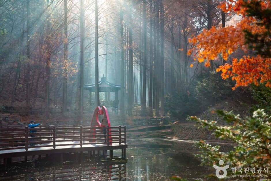 장태산자연휴양림 (9)