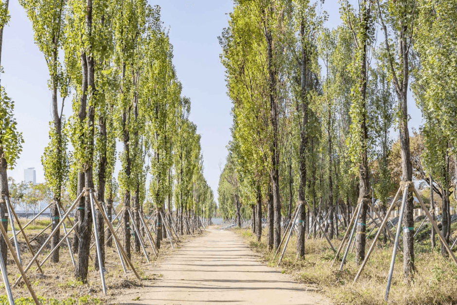 이촌한강공원 (3)
