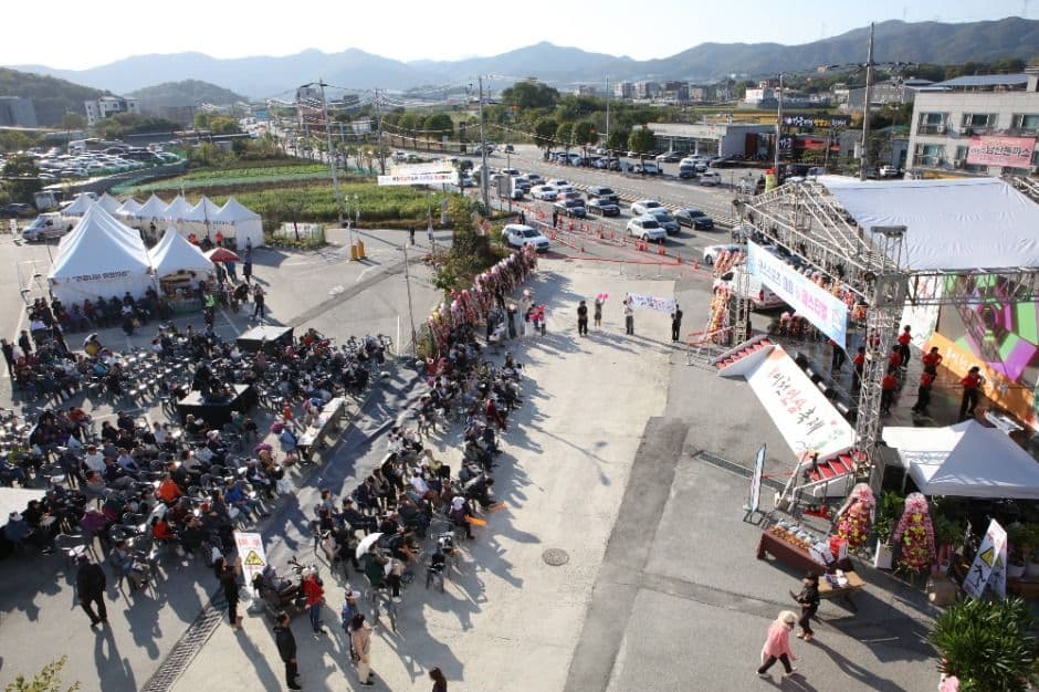 2025 이천인삼건강축제 5