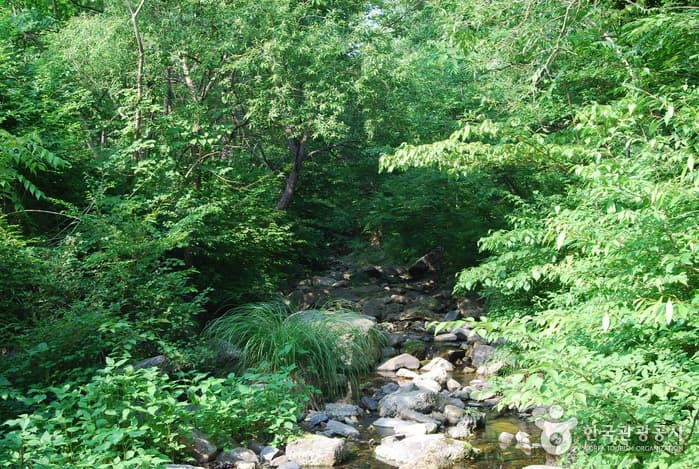 성주계곡_05