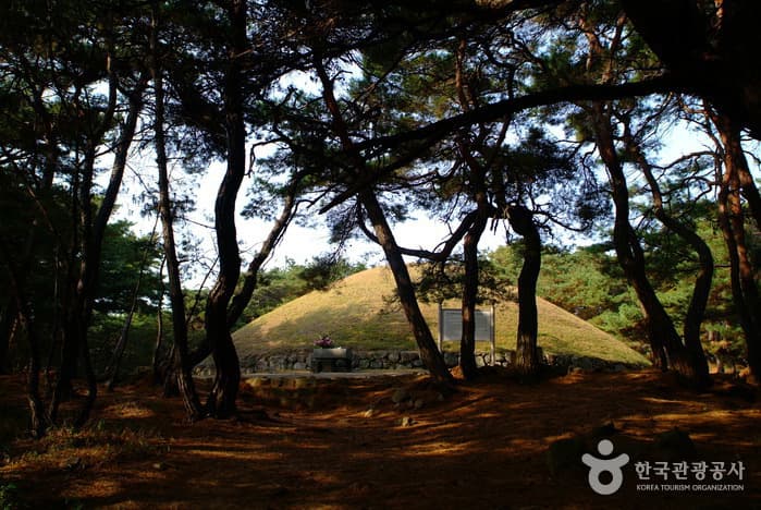 Tomb of Queen Seondeok (경주 선덕여왕릉)