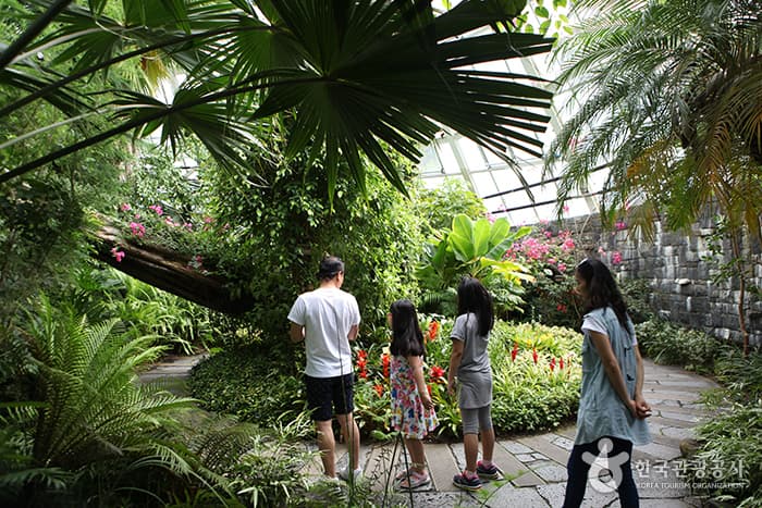 전북_무주_반딧불이 있는 청정 무주 생태여행10