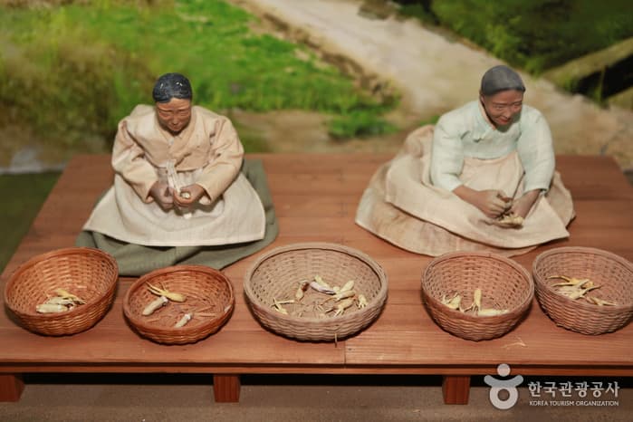 충남_금산인삼관11