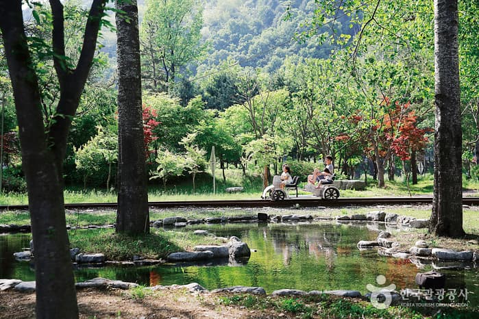 강원_화천_화천 발견 10(1,2)22