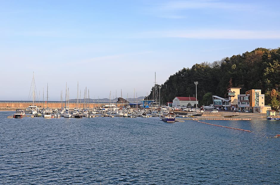 강원-양양=수산항 (2)