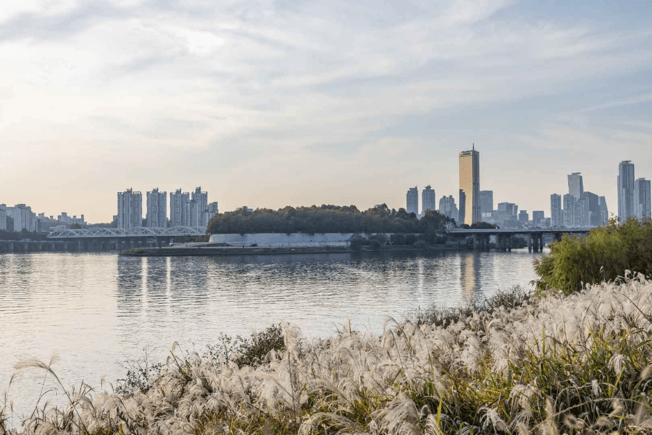 이촌한강공원 (4)