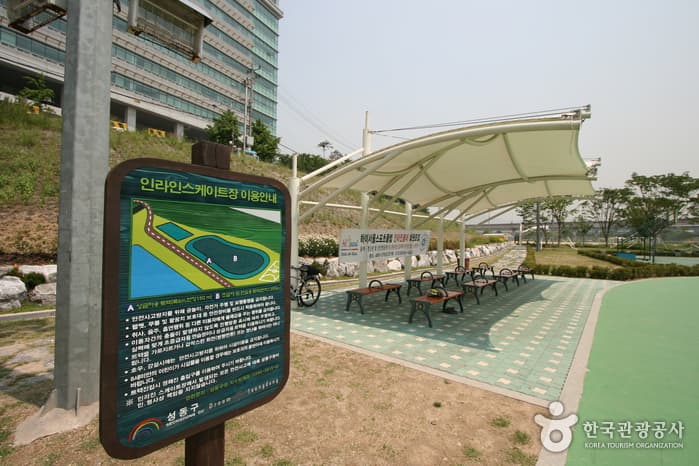 서울시 성동구 살곶이체육공원04
