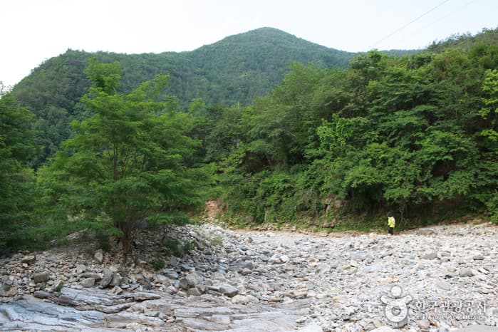 정선덕산기트레킹36