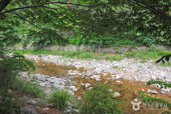 어비계곡문화마을