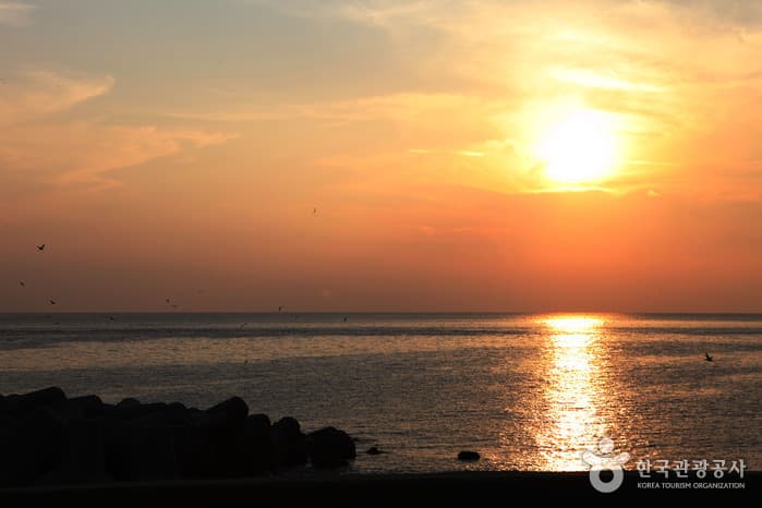 1311경북_울릉_핫스팟15