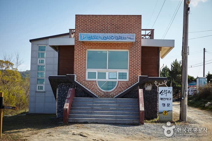 충남_태안_신두리 해안사구03