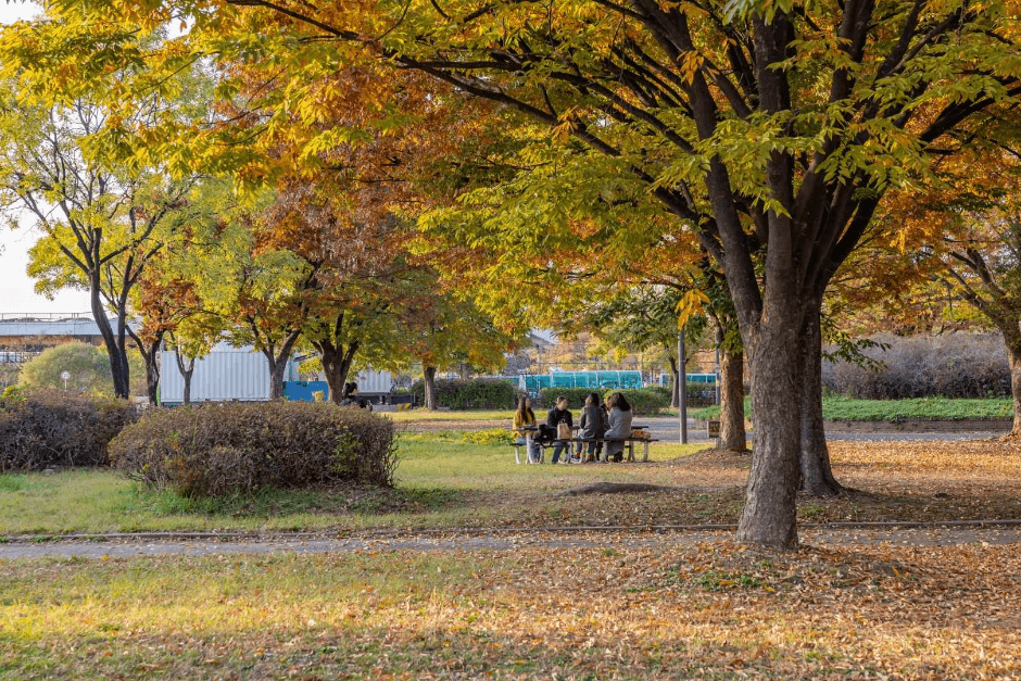이촌한강공원 (5)