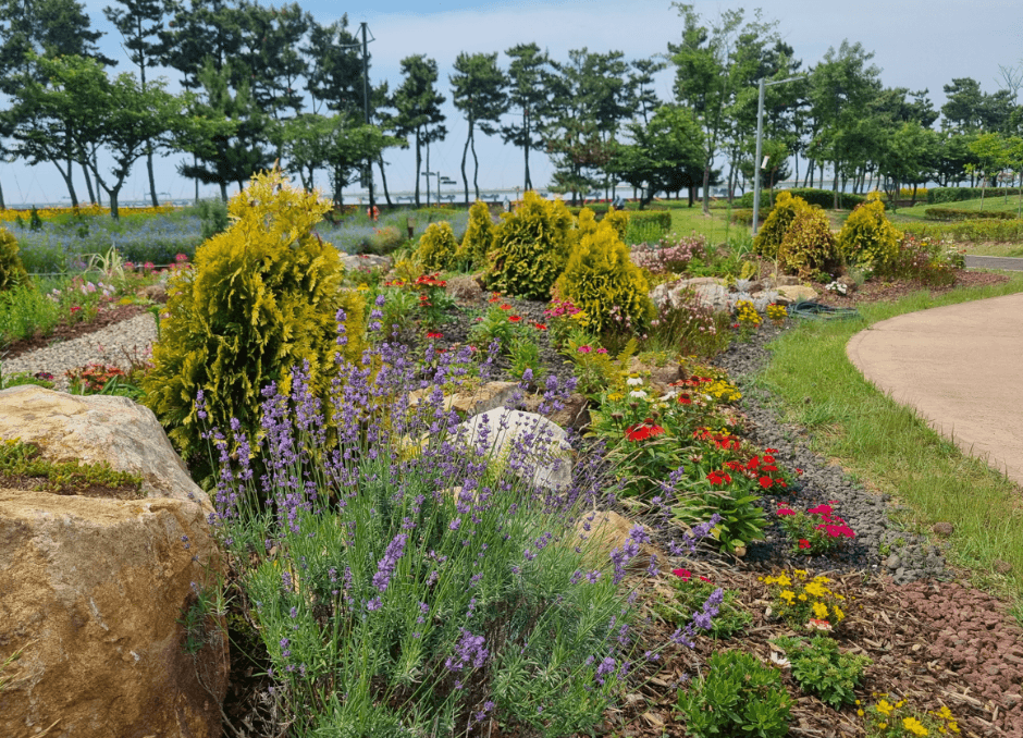 인천_씨사이드파크해수족욕장 (1)