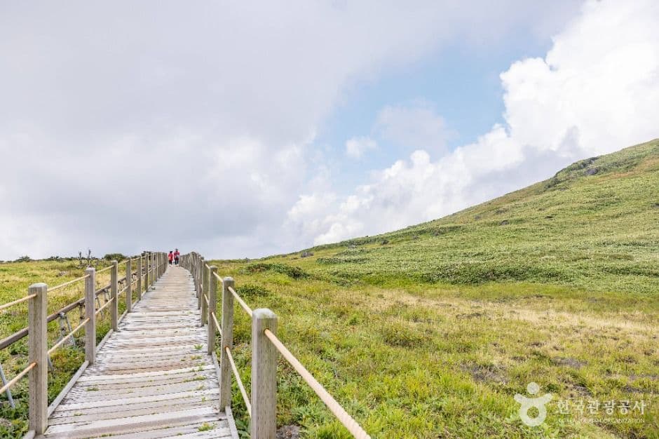 제주_한라산 영실 (6)