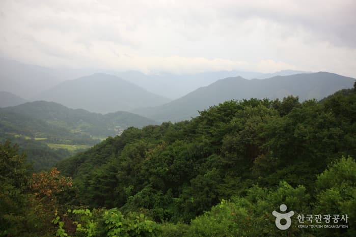 지리산조망공원휴게소_06