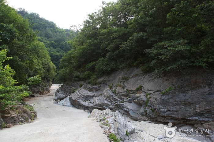 정선덕산기트레킹37