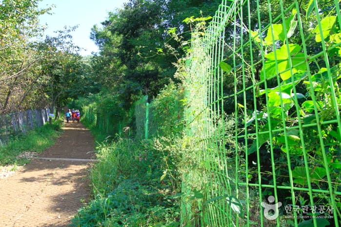 경기_시흥_소래산01