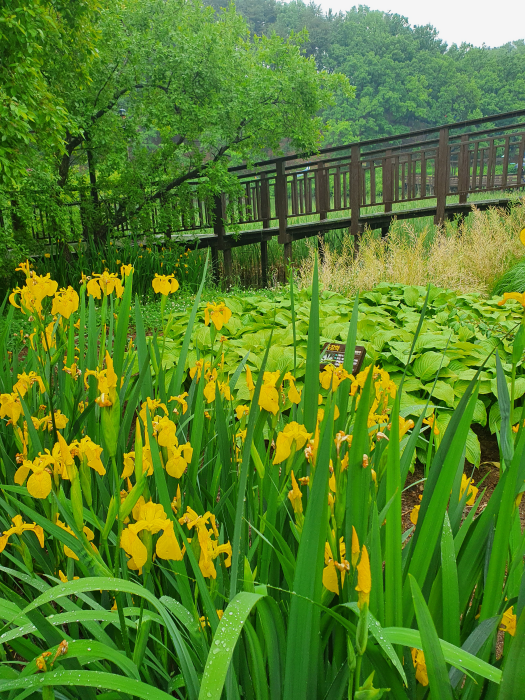 부산울산지사_3_5_선암호수공원