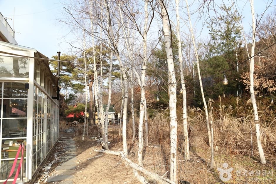 포시즌어데이 (9)
