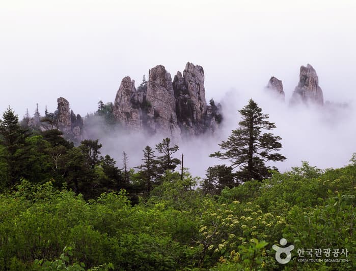 설악산 사진갤러리_2