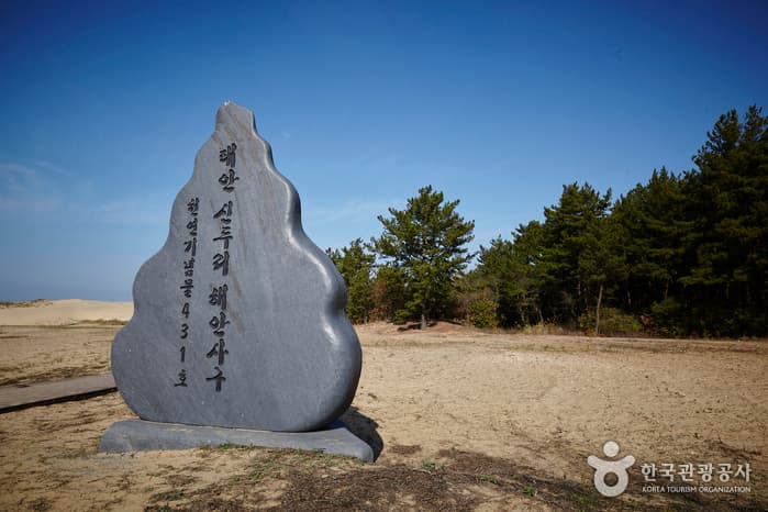 충남_태안_신두리 해안사구05