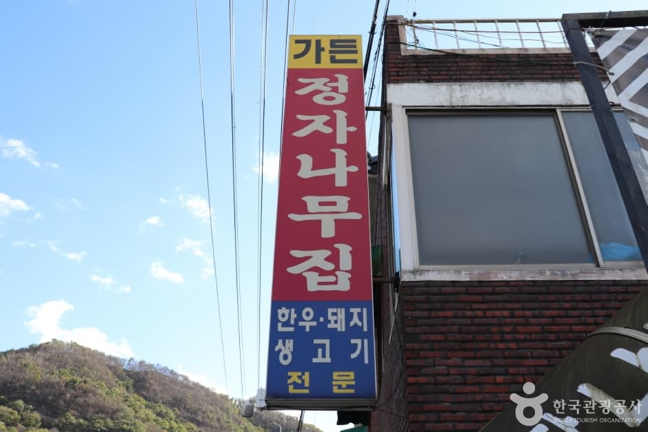 정자나무가든 8