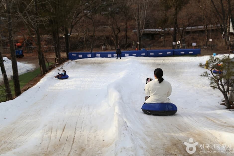 포시즌어데이 (10)