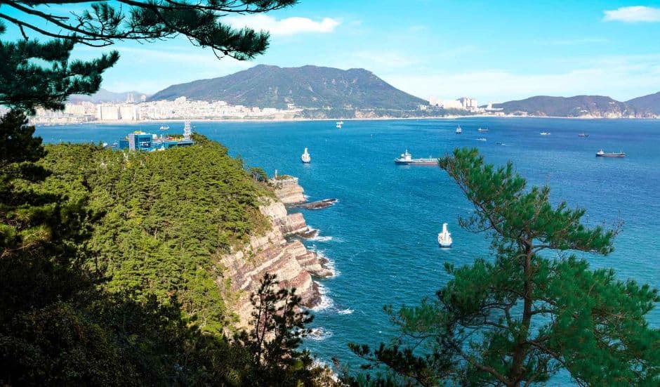 송도해상케이블카_치유의 숲