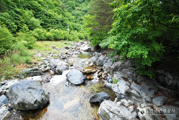 가리왕산자연휴양림_07