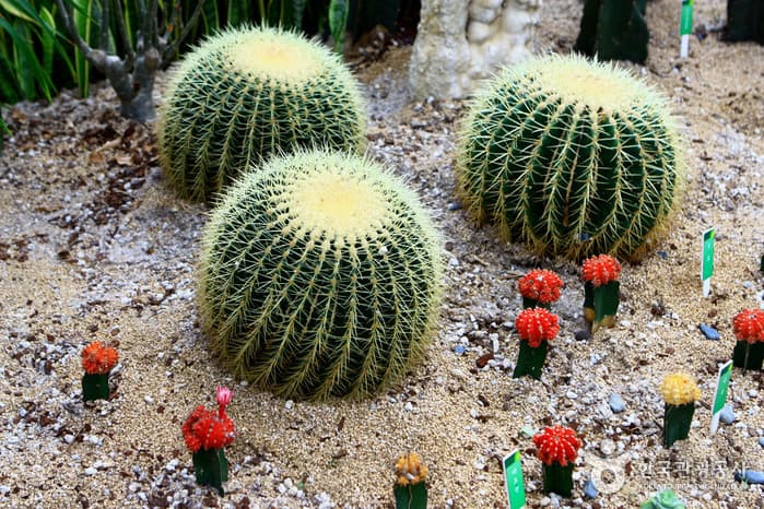 물향기수목원62