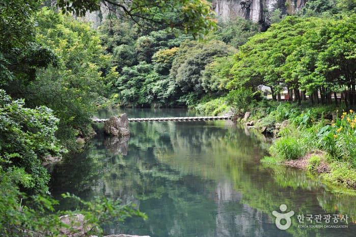 천지연난대림지대