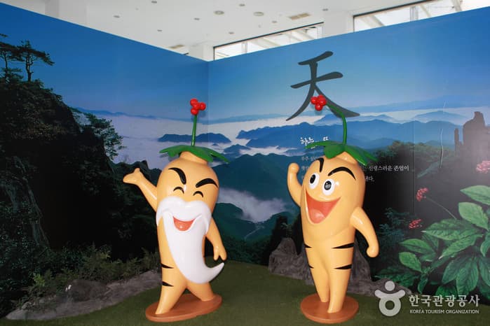 충남_금산인삼관15