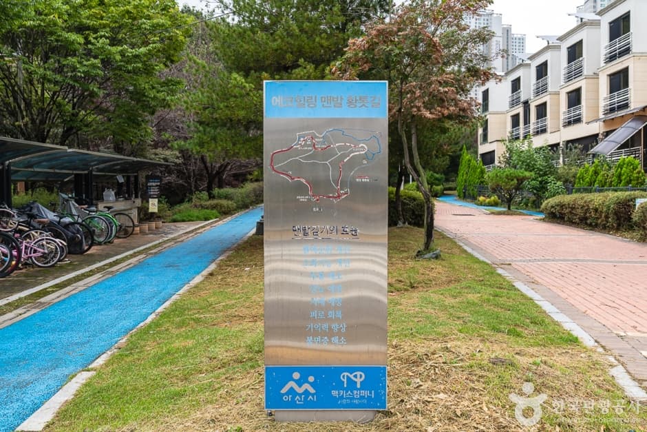 Eco Healing Red Clay Trail (에코힐링 황톳길)
