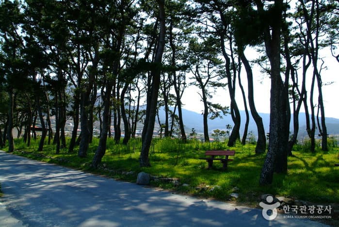 신흥리 해수욕장_04