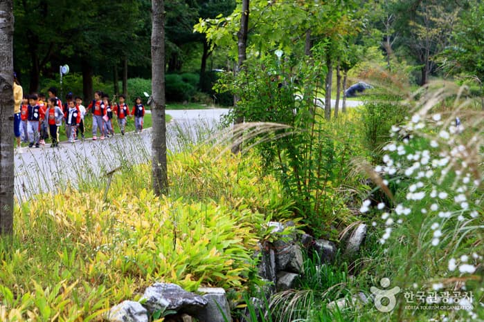 물향기수목원63