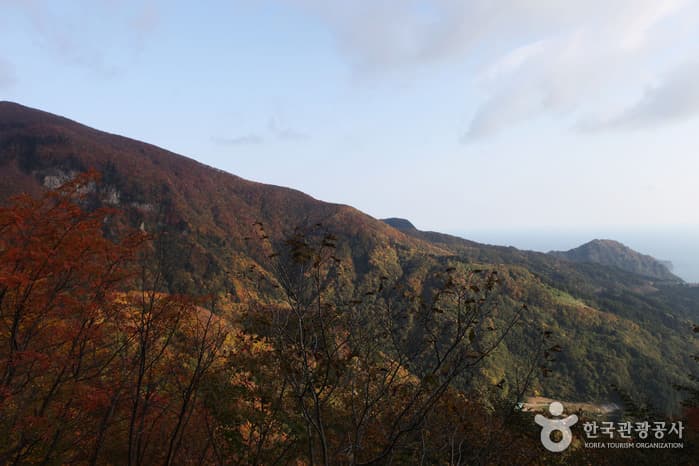 1311경북_울릉_성인봉 9
