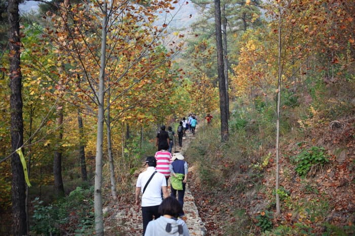 속리산둘레길 보은길_(2)