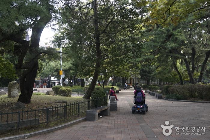 충청북도_청주중앙공원10