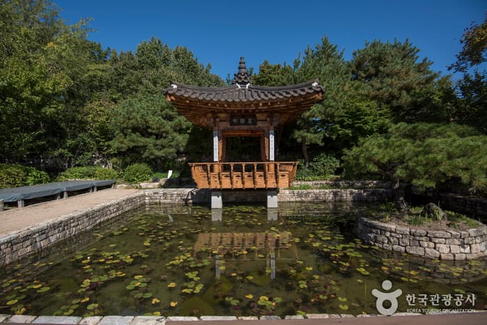 경남_산청_산청율수원_전경19