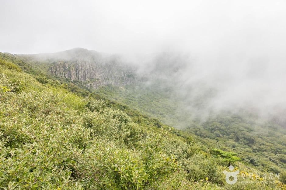 제주_한라산 영실 (10)