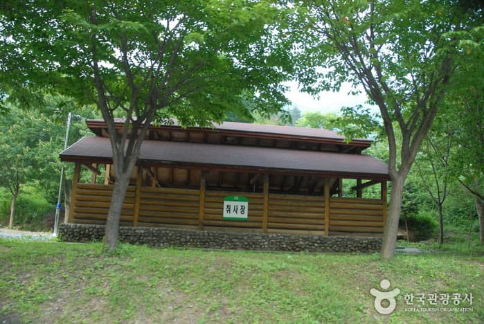 고산자연휴양림_10